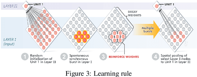 Figure 3 for Neural networks grown and self-organized by noise