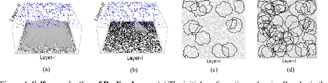 Figure 4 for Neural networks grown and self-organized by noise