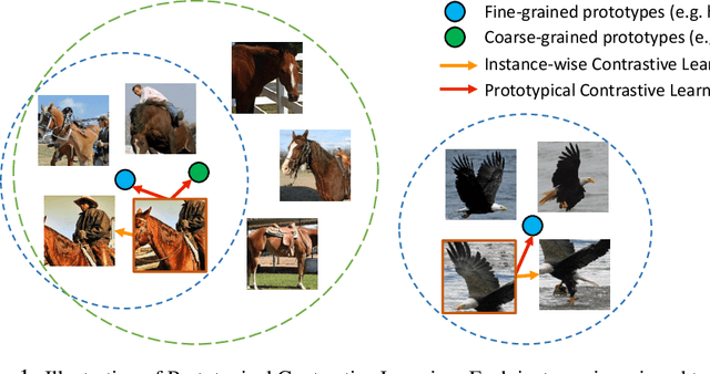 Figure 1 for Prototypical Contrastive Learning of Unsupervised Representations