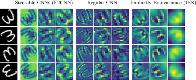 Figure 1 for Implicit Equivariance in Convolutional Networks