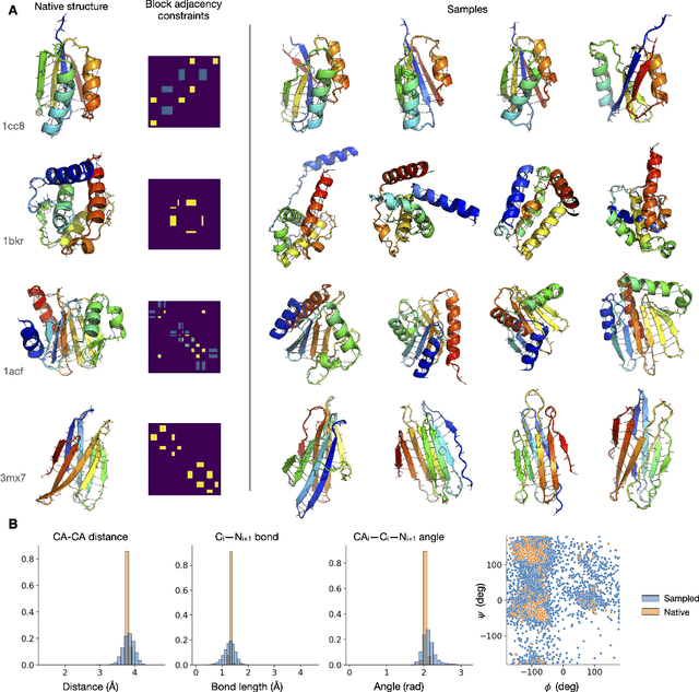 Figure 1 for Protein Structure and Sequence Generation with Equivariant Denoising Diffusion Probabilistic Models