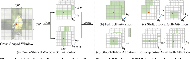 Figure 1 for CSWin Transformer: A General Vision Transformer Backbone with Cross-Shaped Windows