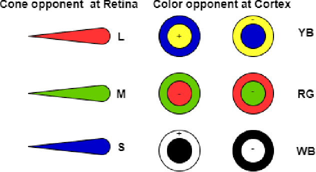 Figure 1 for An HVS-Oriented Saliency Map Prediction Modeling