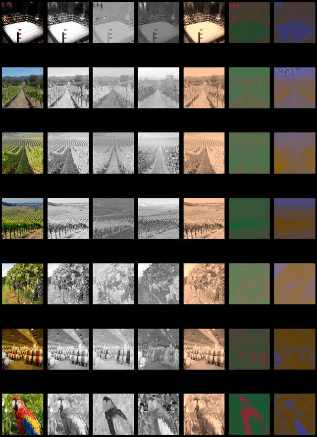 Figure 3 for An HVS-Oriented Saliency Map Prediction Modeling