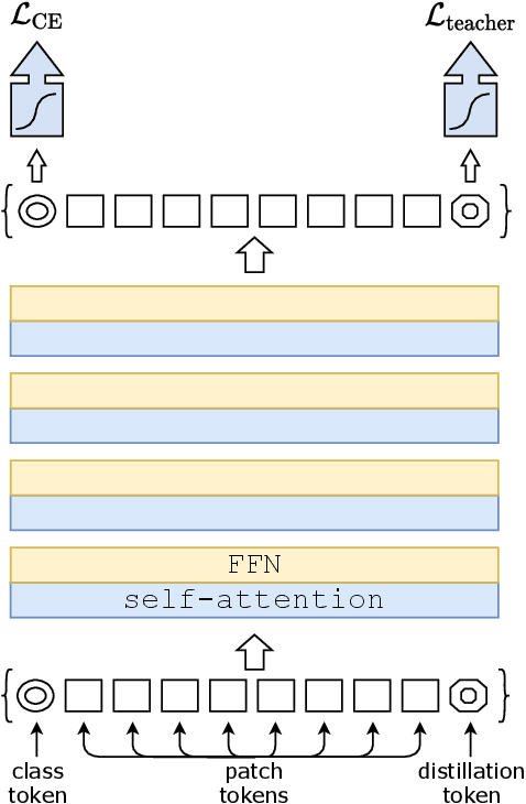 Figure 3 for Training data-efficient image transformers & distillation through attention