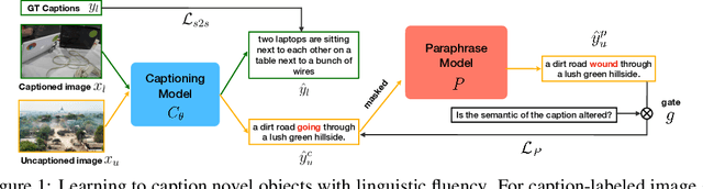 Figure 1 for Paraphrasing Is All You Need for Novel Object Captioning
