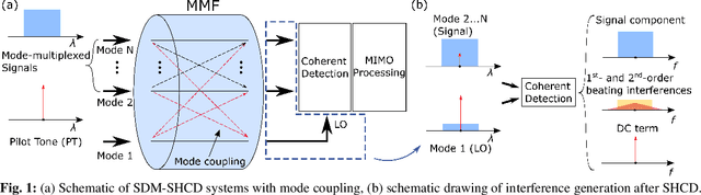 Figure 1 for Digital Interference Mitigation in Space Division Multiplexing Self-Homodyne Coherent Detection