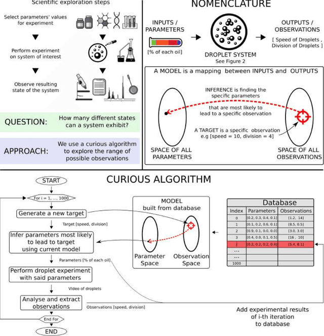 Figure 1 for Exploration of Self-Propelling Droplets Using a Curiosity Driven Robotic Assistant