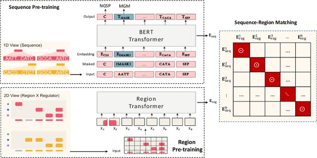 Figure 1 for Multi-modal Self-supervised Pre-training for Regulatory Genome Across Cell Types
