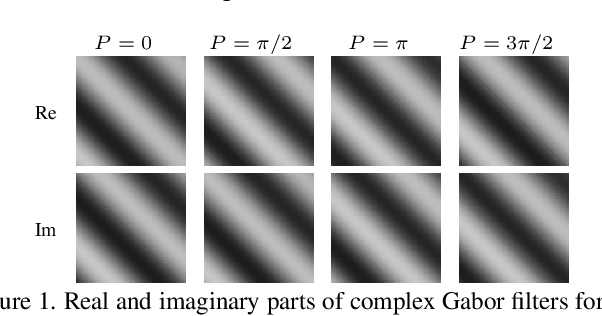 Figure 1 for Naive Gabor Networks