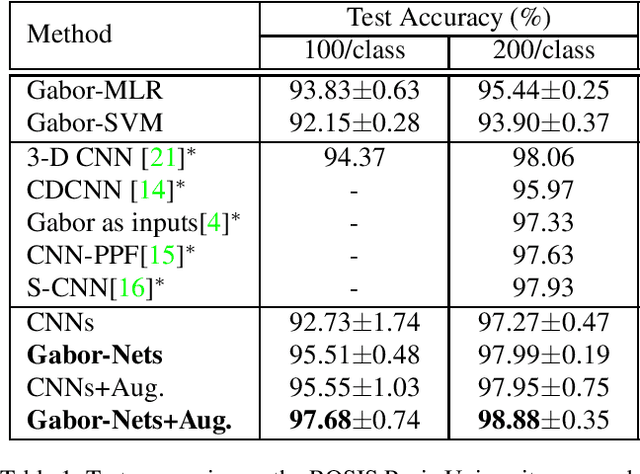 Figure 2 for Naive Gabor Networks