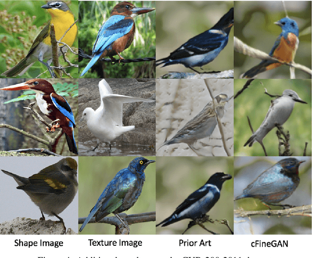 Figure 3 for cFineGAN: Unsupervised multi-conditional fine-grained image generation