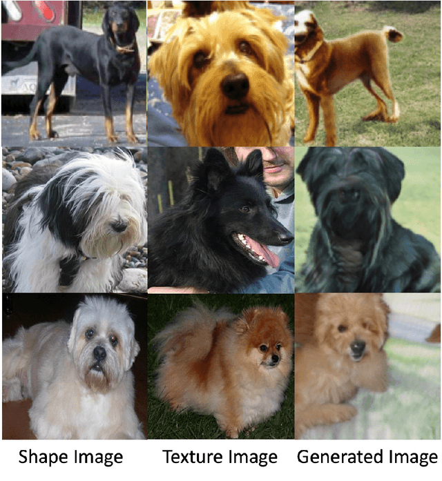 Figure 4 for cFineGAN: Unsupervised multi-conditional fine-grained image generation