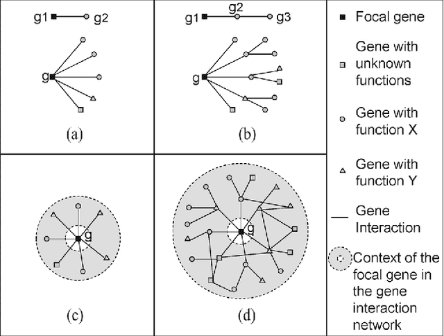 Figure 1 for Gene Function Prediction with Gene Interaction Networks: A Context Graph Kernel Approach