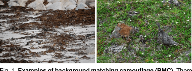 Figure 1 for Concealed Object Detection