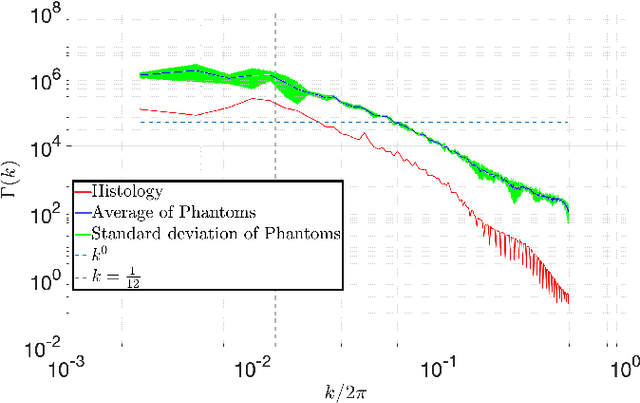 Figure 3 for Three-dimensional micro-structurally informed in silico myocardium -- towards virtual imaging trials in cardiac diffusion weighted MRI