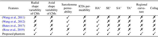 Figure 2 for Three-dimensional micro-structurally informed in silico myocardium -- towards virtual imaging trials in cardiac diffusion weighted MRI