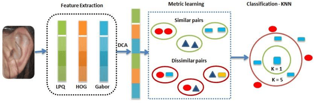 Figure 3 for Metric Learning with Dynamically Generated Pairwise Constraints for Ear Recognition