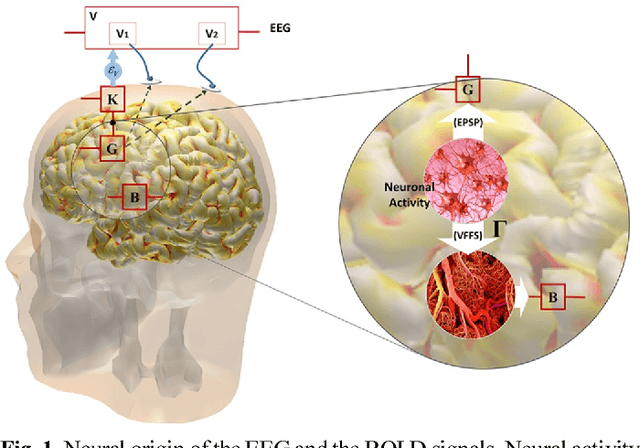 Figure 1 for Tensor Analysis and Fusion of Multimodal Brain Images