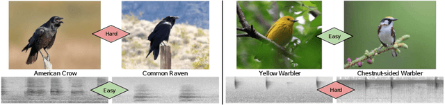 Figure 1 for Exploring Fine-Grained Audiovisual Categorization with the SSW60 Dataset