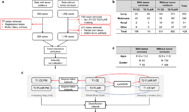 Figure 1 for A transformer-based deep learning approach for classifying brain metastases into primary organ sites using clinical whole brain MRI images