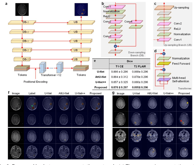 Figure 2 for A transformer-based deep learning approach for classifying brain metastases into primary organ sites using clinical whole brain MRI images