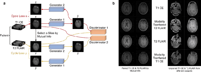 Figure 3 for A transformer-based deep learning approach for classifying brain metastases into primary organ sites using clinical whole brain MRI images