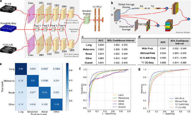 Figure 4 for A transformer-based deep learning approach for classifying brain metastases into primary organ sites using clinical whole brain MRI images