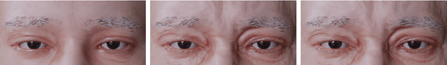 Figure 4 for A high fidelity synthetic face framework for computer vision