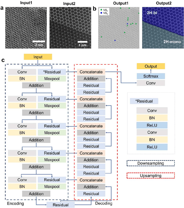 Figure 2 for STEM image analysis based on deep learning: identification of vacancy defects and polymorphs of ${MoS_2}$