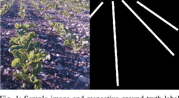 Figure 1 for Towards Infield Navigation: leveraging simulated data for crop row detection
