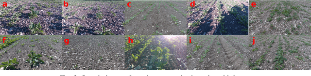 Figure 4 for Towards Infield Navigation: leveraging simulated data for crop row detection