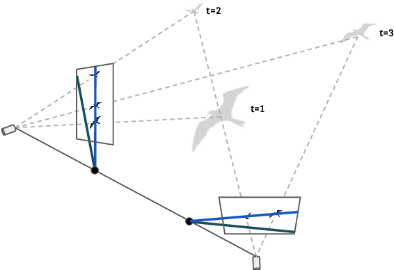 Figure 3 for An Epipolar Line from a Single Pixel
