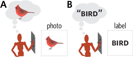 Figure 2 for Visual communication of object concepts at different levels of abstraction