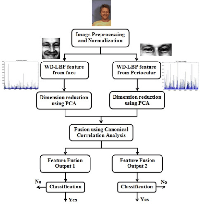 Figure 1 for Fusing Face and Periocular biometrics using Canonical correlation analysis