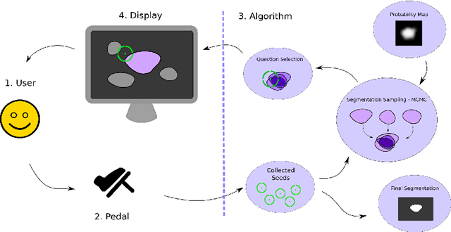 Figure 1 for Hands-Free Segmentation of Medical Volumes via Binary Inputs
