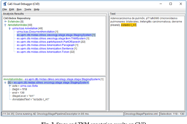 Figure 3 for Lung Cancer Concept Annotation from Spanish Clinical Narratives