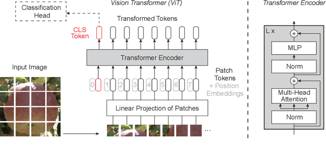 Figure 1 for Facilitated machine learning for image-based fruit quality assessment in developing countries