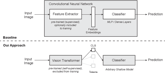 Figure 3 for Facilitated machine learning for image-based fruit quality assessment in developing countries
