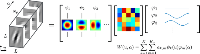 Figure 1 for RotDCF: Decomposition of Convolutional Filters for Rotation-Equivariant Deep Networks