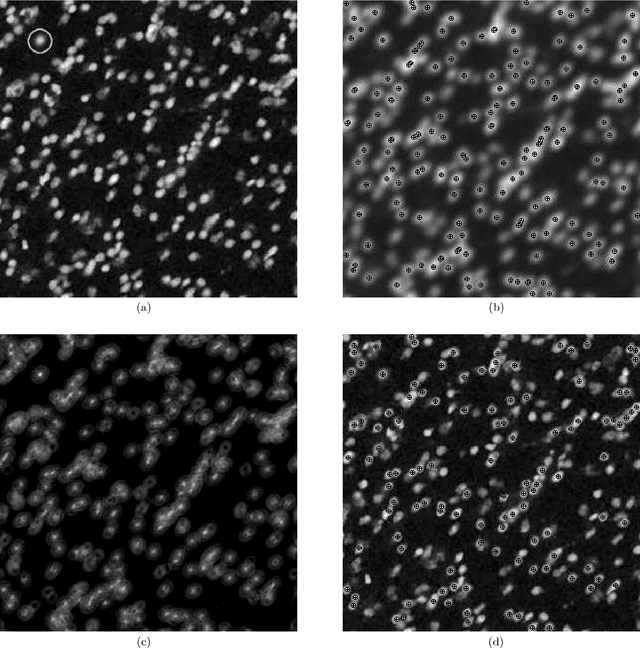 Figure 3 for A Fast and Accurate Nonlinear Spectral Method for Image Recognition and Registration