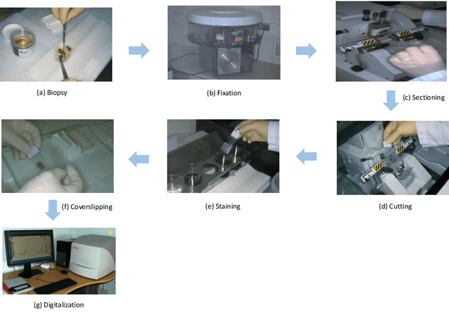 Figure 1 for What Can Machine Vision Do for Lymphatic Histopathology Image Analysis: A Comprehensive Review