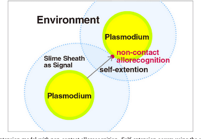 Figure 3 for A Survey on Physarum Polycephalum Intelligent Foraging Behaviour and Bio-Inspired Applications