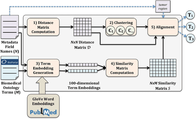 Figure 1 for Aligning Biomedical Metadata with Ontologies Using Clustering and Embeddings