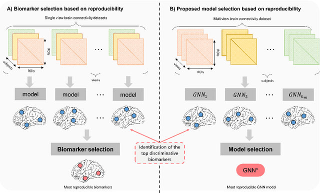 Figure 1 for Quantifying the Reproducibility of Graph Neural Networks using Multigraph Brain Data