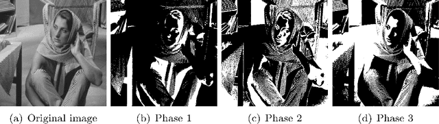 Figure 2 for Multiphase Segmentation For Simultaneously Homogeneous and Textural Images