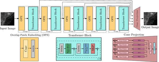 Figure 1 for Transformer-based SAR Image Despeckling