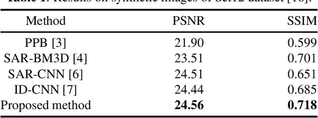 Figure 2 for Transformer-based SAR Image Despeckling