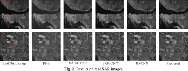 Figure 4 for Transformer-based SAR Image Despeckling