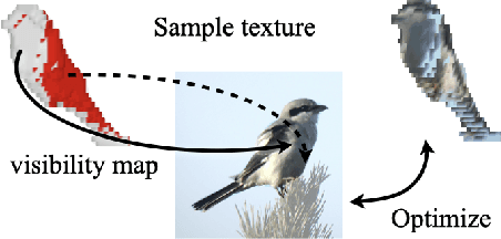 Figure 4 for Shelf-Supervised Mesh Prediction in the Wild